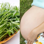 Những điều cần biết về việc bà bầu có ăn rau muốn được không?