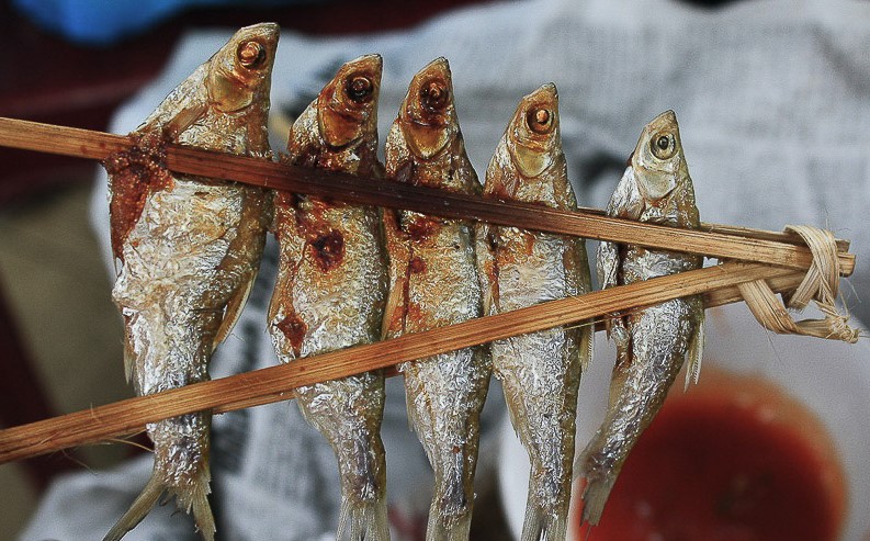 Cá nướng ở Ba Bể là món ăn khoái khẩu của nhiều du khách