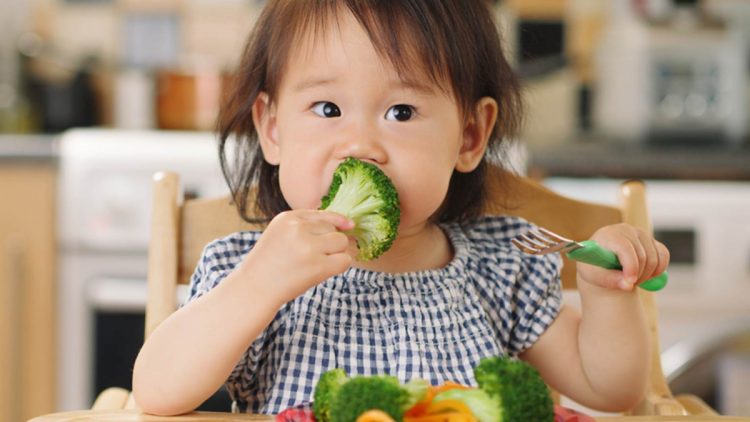 Chế độ ăn uống thích hợp với trẻ 1 tuổi