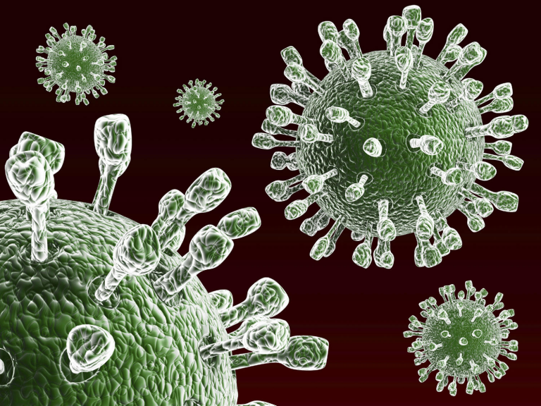 Virus Rotavirus